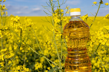 Bright yellow rapeseed flowers flourish across expansive fields, with a plastic bottle of canola...