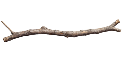 Isolated Dry Twig, Branch, Nature Element on transparent Background