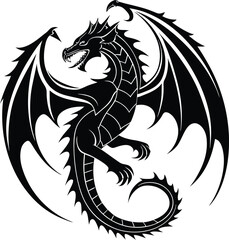 black and white dragon
