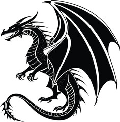 black and white dragon