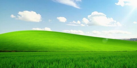 Fototapeta premium Serene Vista of Rolling Green Hills Under a Bright Sky with Puffy White Clouds