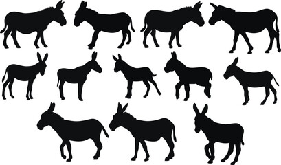 Set of donkey silhouettes in various poses, ideal for farm logos, rural artwork, educational materials, and animal graphics. High-quality black vector of donkey isolated on white background, eps10.