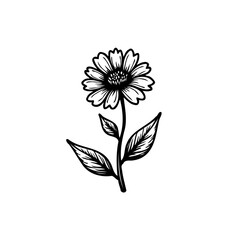 Elegantly crafted monochrome floral depiction with simplistic botanical elements