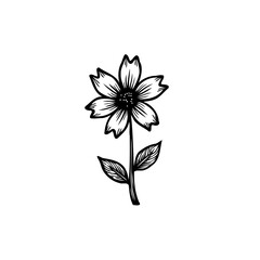 Elegant hand-drawn flower illustration showcasing delicate petals and fine details