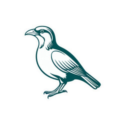 Obraz premium Blue line-art tropical bird, perfect for elegant branding, vintage packaging, or minimalist designs.