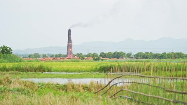 Landscape view of a paddy field and a brick kiln in the distance