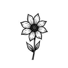 Elegant floral engraving of a detailed blossom with refined shading and lines