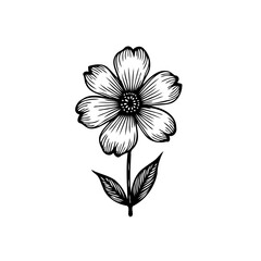 Elegant single bloom hand-drawn floral illustration on white background