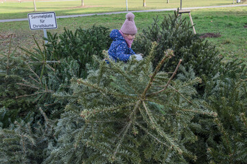 Child Among Discarded Christmas Trees