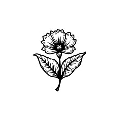 Detailed line drawing of a stylized flower with leaves, isolated illustration