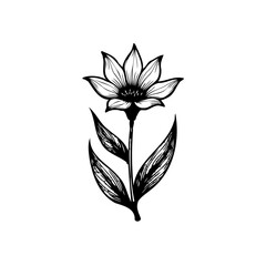 Monochrome Botanical Illustration: Elegant Bloom and Foliage Detailed Drawing