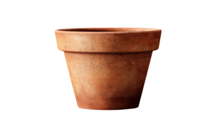 Terracotta Pot: A rustic, terracotta flower pot, perfect for adding a touch of natural charm to any space.  The warm, earthy tones of the pot provide a versatile backdrop for various plants.