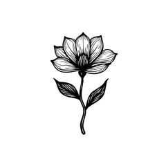 Elegant floral design rendered in monochrome line art, presenting subtle details