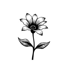 Elegant botanical illustration of a flower with delicate petals and leaves