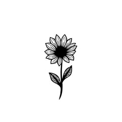 Elegant sunflower illustration in minimalistic black and white design on clean background