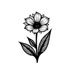Elegant monochrome floral illustration featuring detailed petals and leaves design