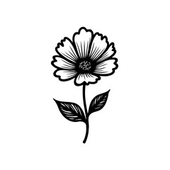 Elegant monochrome flower illustration, delicate petals and minimalist botanical design