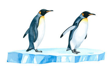 Fototapeta premium Pingwiny ilustracja