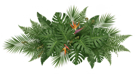 Tropical foliage arrangement