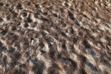 Textured Ground Surface with Natural Fiber and Sandy Background in Earthy Tones and Patterns