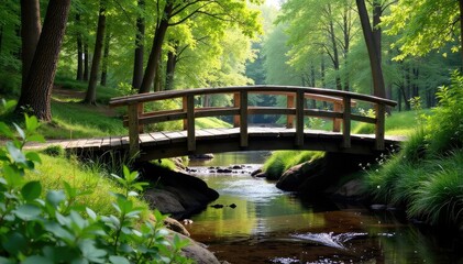 Obraz premium Rustic wooden creek bridge spanning a tranquil stream , weathered, leaves