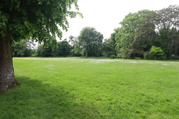 Le parc municipal de Bellecour, parc public, ville de Pithiviers, département du Loiret, France