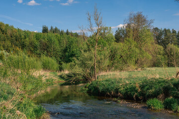 Sázava River Near Přibyslav on a Beautiful Spring Day
