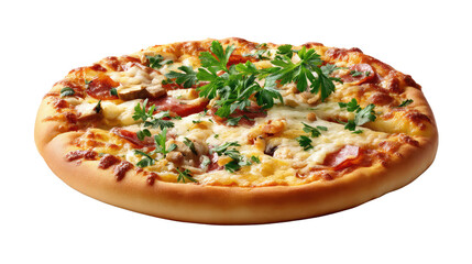 Delicious Pizza: A close-up shot of a freshly baked pizza, artfully topped with a variety of fresh ingredients and flavorful toppings, presented in a clean and enticing manner.