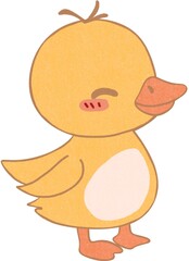 A duck