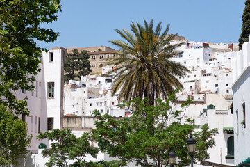 Ville de Tetouan au Maroc