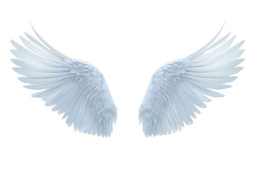 White Wings Spread in Flight, Fantasy Theme and a Symbol of Freedom.
