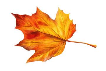 Obraz premium Capture Autumn's Golden Hue, A Single Leaf Portrait with Warm Tones