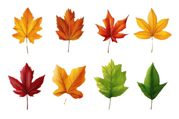 Fototapeta premium Autumn Leaves Displayed Against a Black Backdrop and Autumnal Theme