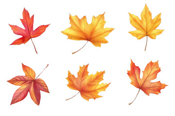 Explore Fall Colors, Beautiful Autumn Leaves Illustration and seasonal themes
