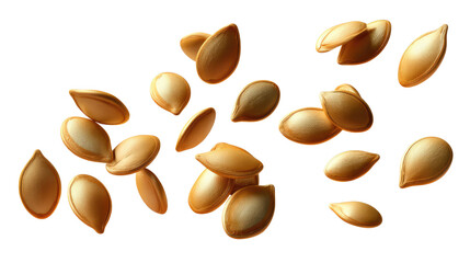 Golden Seeds Scattered: A collection of roasted golden seeds, each with a unique shape and texture, artfully arranged against a clean, minimalist backdrop.