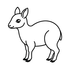 clean vector illustration of patagonian mara drawi