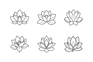 magnolia flower line art vector illustration