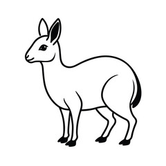 clean vector illustration of patagonian mara drawi