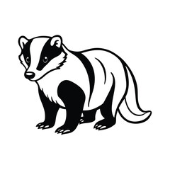 vector illustration of a squirrel