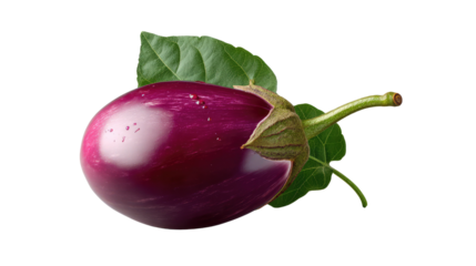 Eggplant's Vivid Glory: A luscious, freshly picked eggplant with its distinctive glossy purple skin and vibrant green stem and leaf is presented against a clean backdrop.