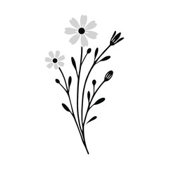 Wild Flower of old Diary-09
