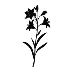Wild Flower of old Diary-14