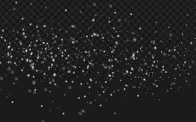 Realistic vector graphic of scattered white particles or dots. Isolated atmospheric design elements perfect for overlays, backgrounds, snow, dust, or abstract projects. 