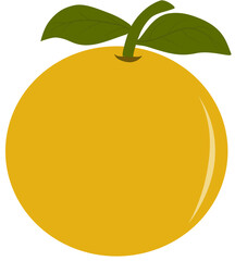 Vibrant Yellow Orange Fruit Illustration