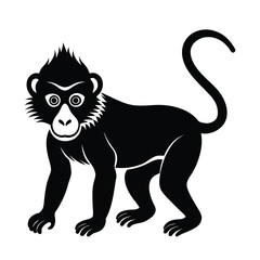 mandrill baby face animal vector silhouette