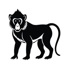 mandrill baby face animal vector silhouette