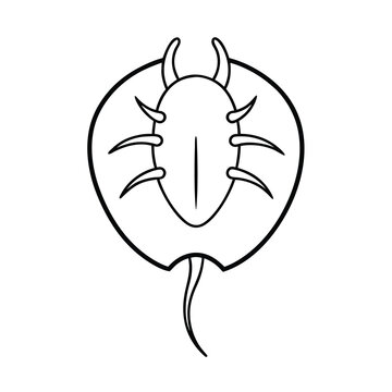 recommend clip art: minimal horseshoe crab line drawing vector