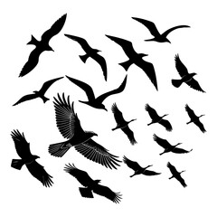 Flying Bird Silhouette Vector Birds in Black Silhouettes