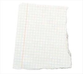 Blank Torn Graph Paper Sheet – Isolated Notebook Page for School, Office, and Educational Design