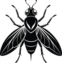 Fly insect silhouette, fly illustration